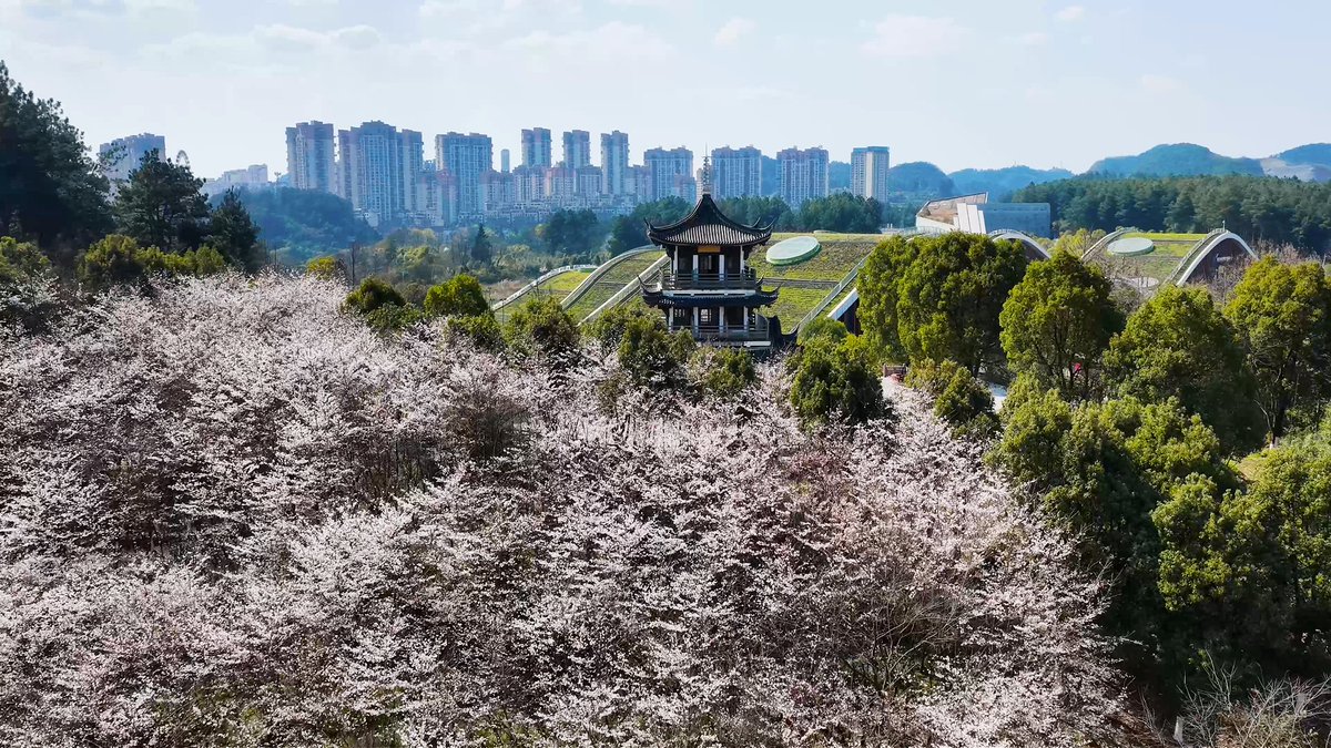 Fun ZunYi tweet media