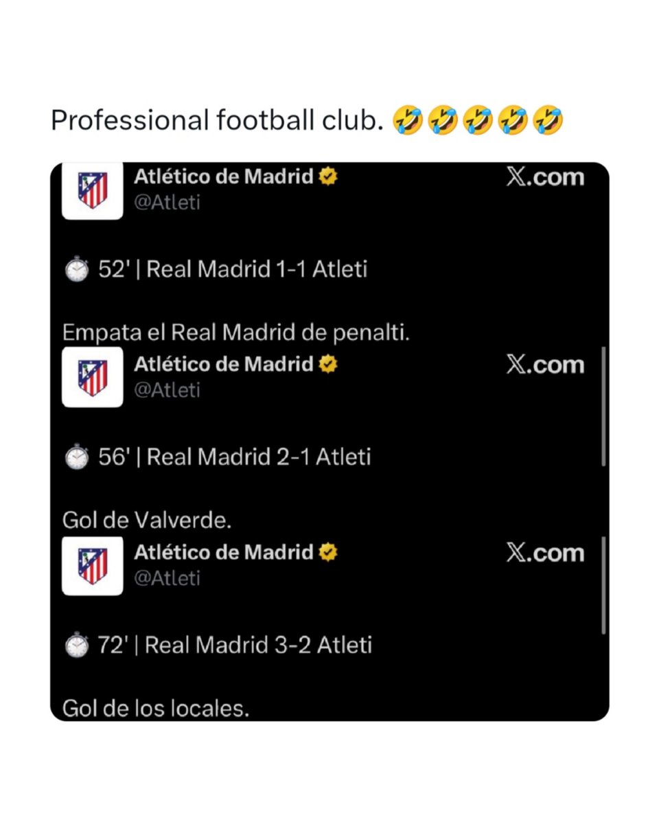 Turtle🐢 tweet media