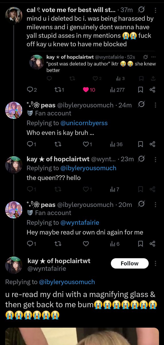 ˚˖𓍢ִ໋❀ peas tweet media