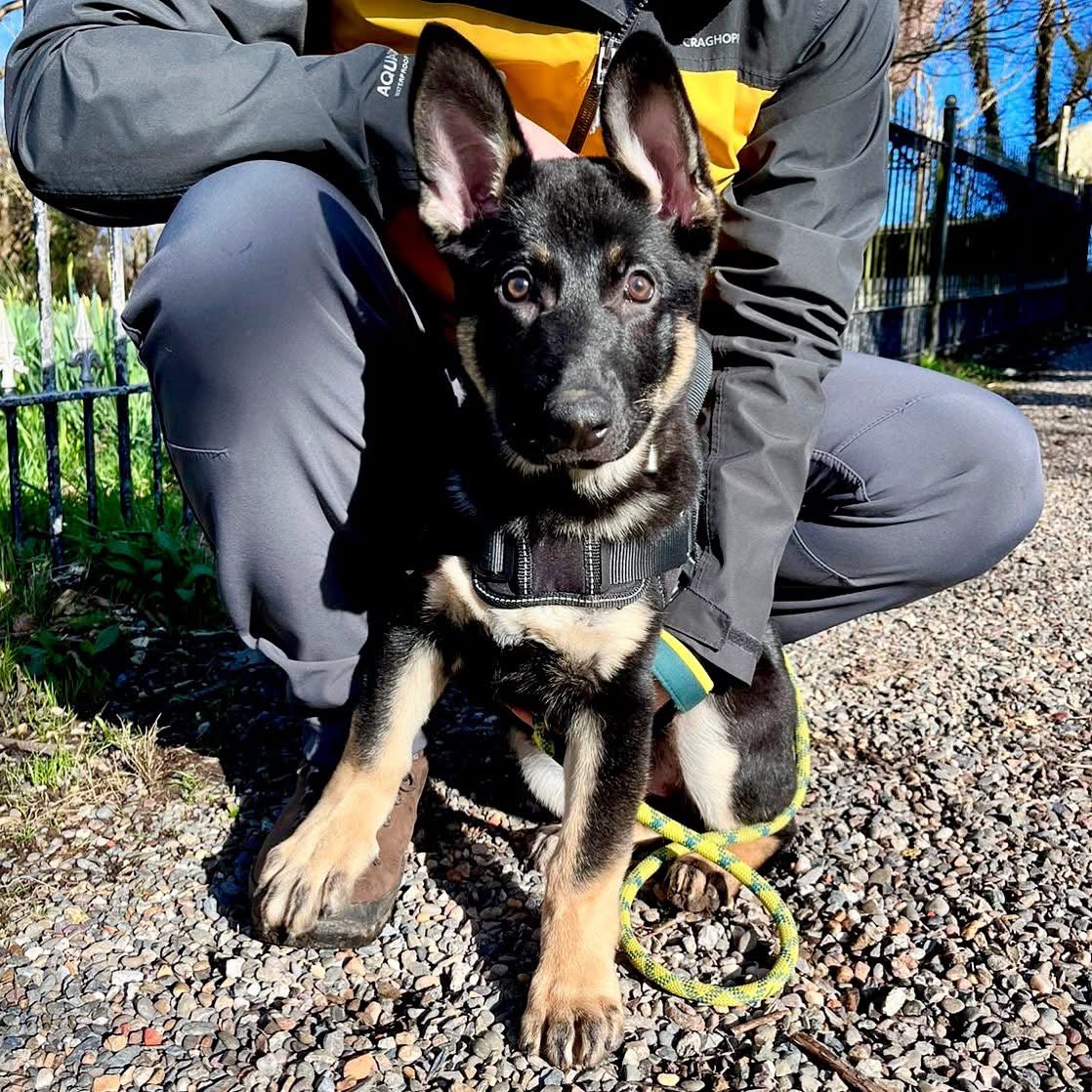 IOM Shepherds tweet media