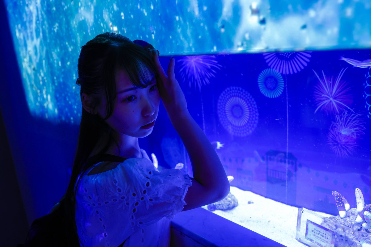 うみがめカメラ tweet media