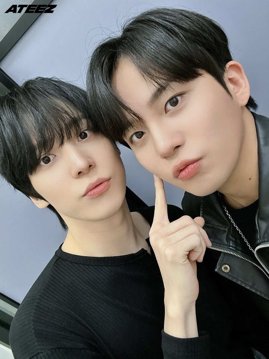 2ho archive tweet media