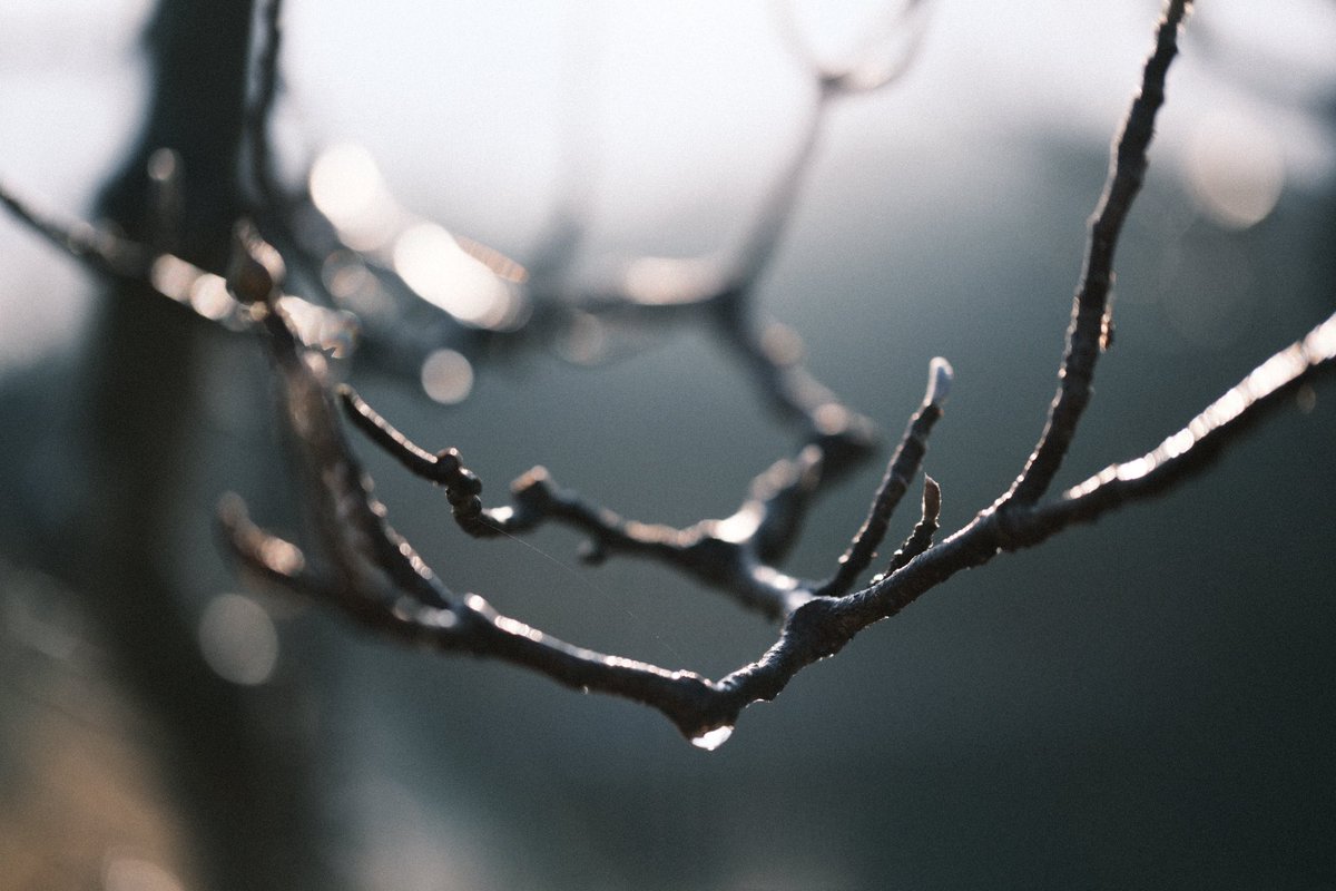 記憶カメラ tweet media