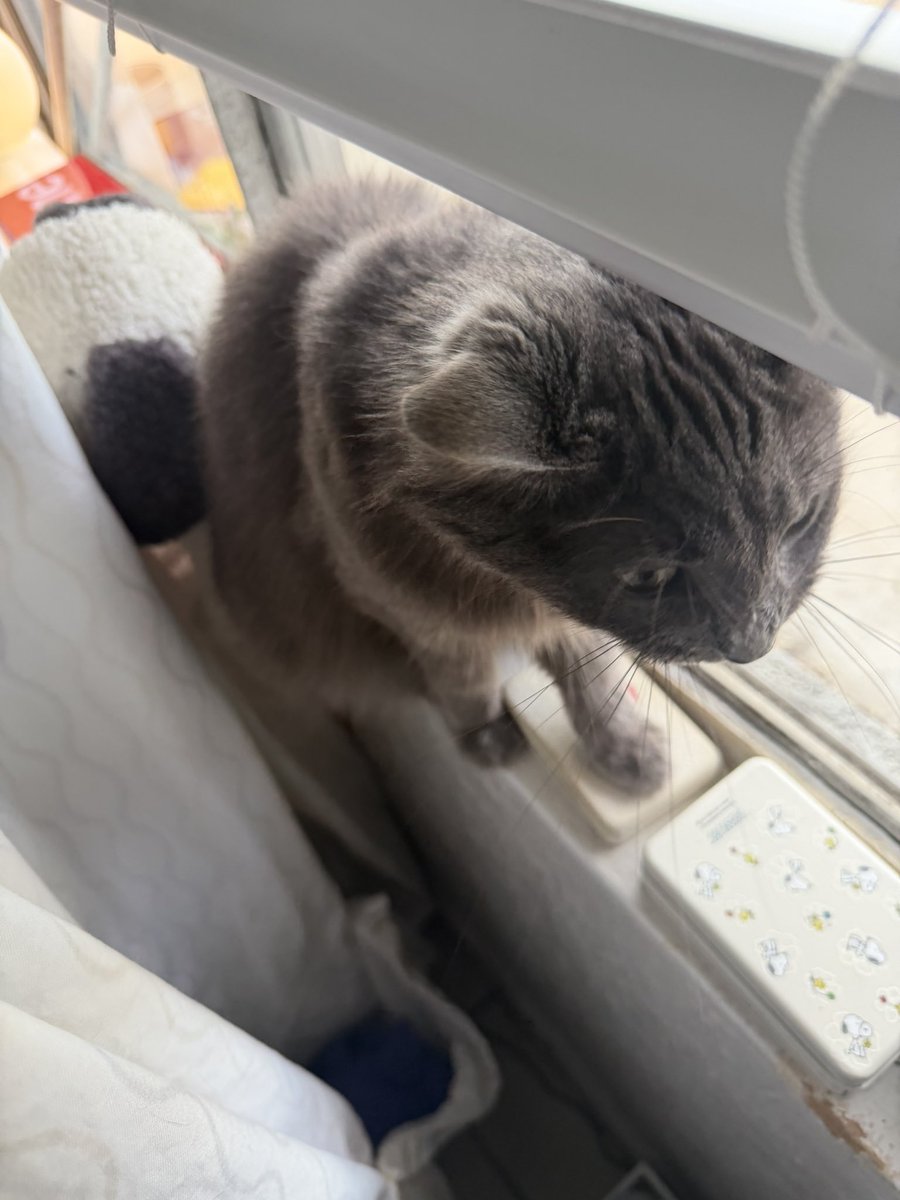 bread🍮 tweet media