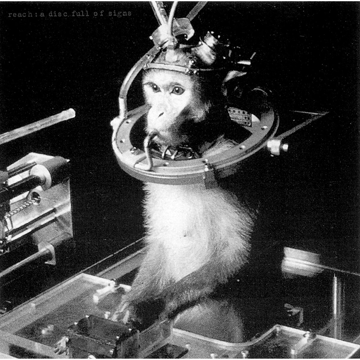 音楽ナタリー tweet media