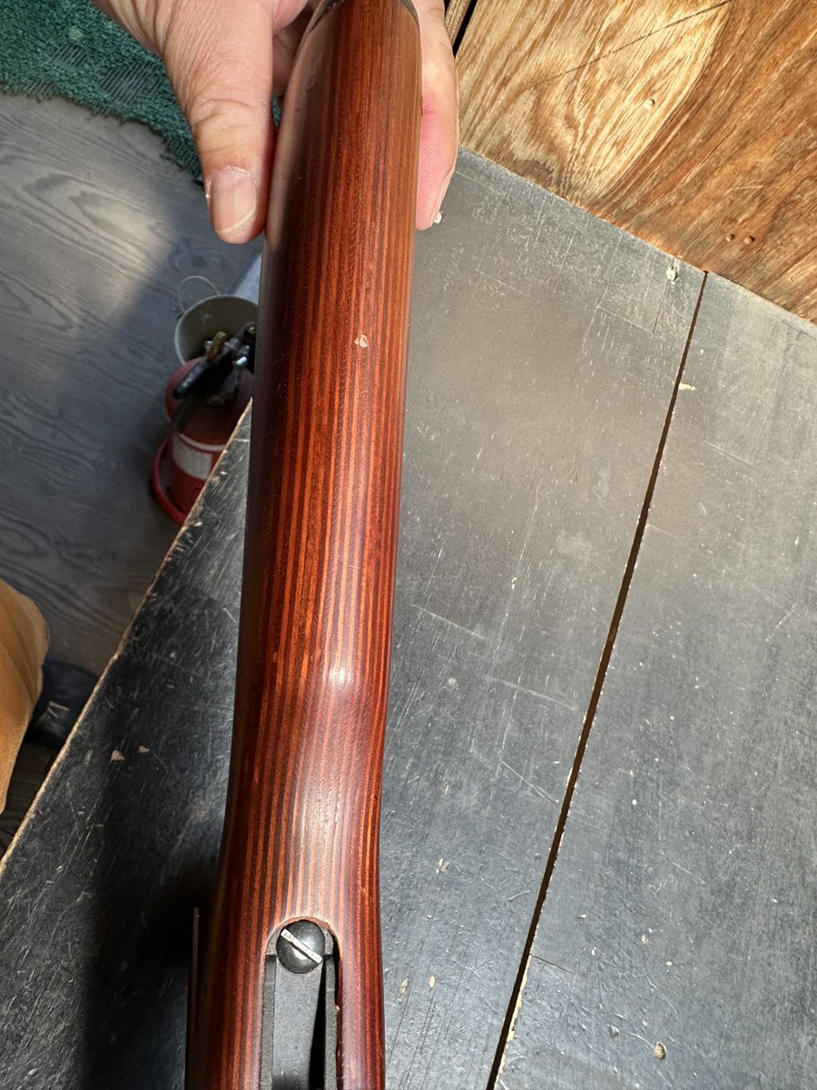 のってぃ tweet media