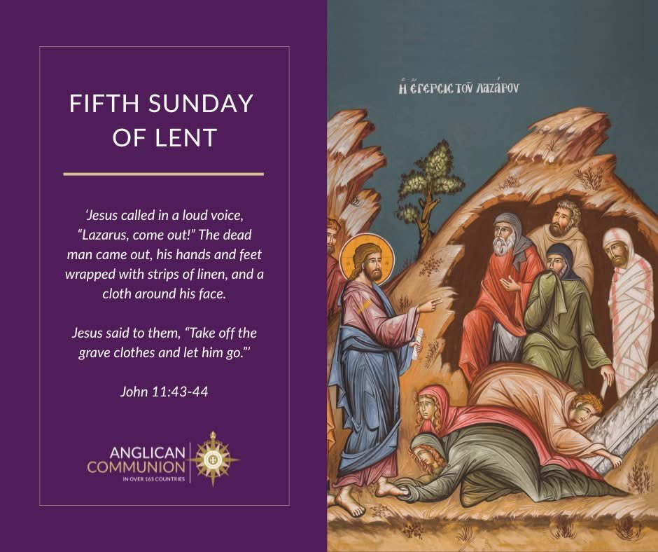 Anglican Communion Youth Network tweet media