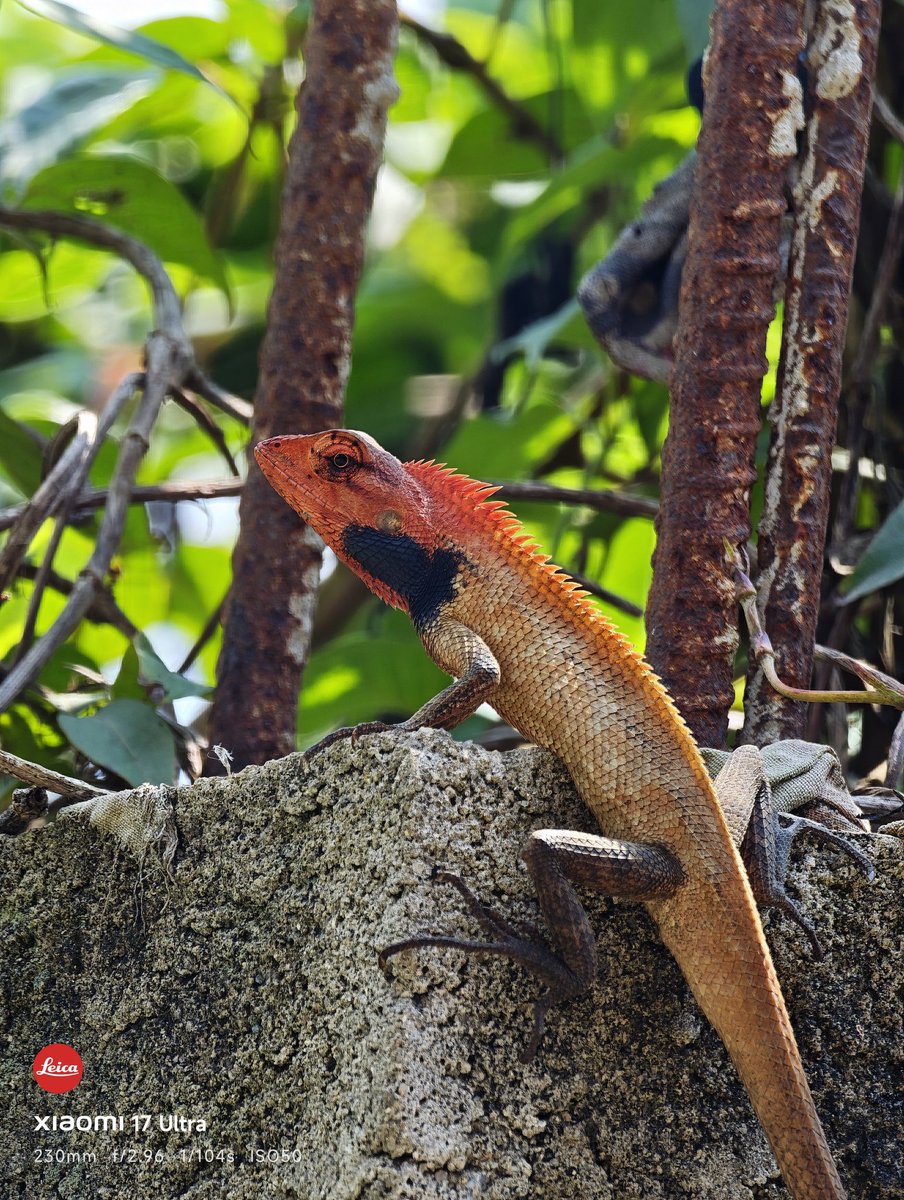 Anir Chakraborty tweet media