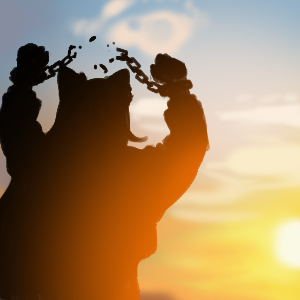 Ferveras 💫 😼 #nerfsprintburst tweet media