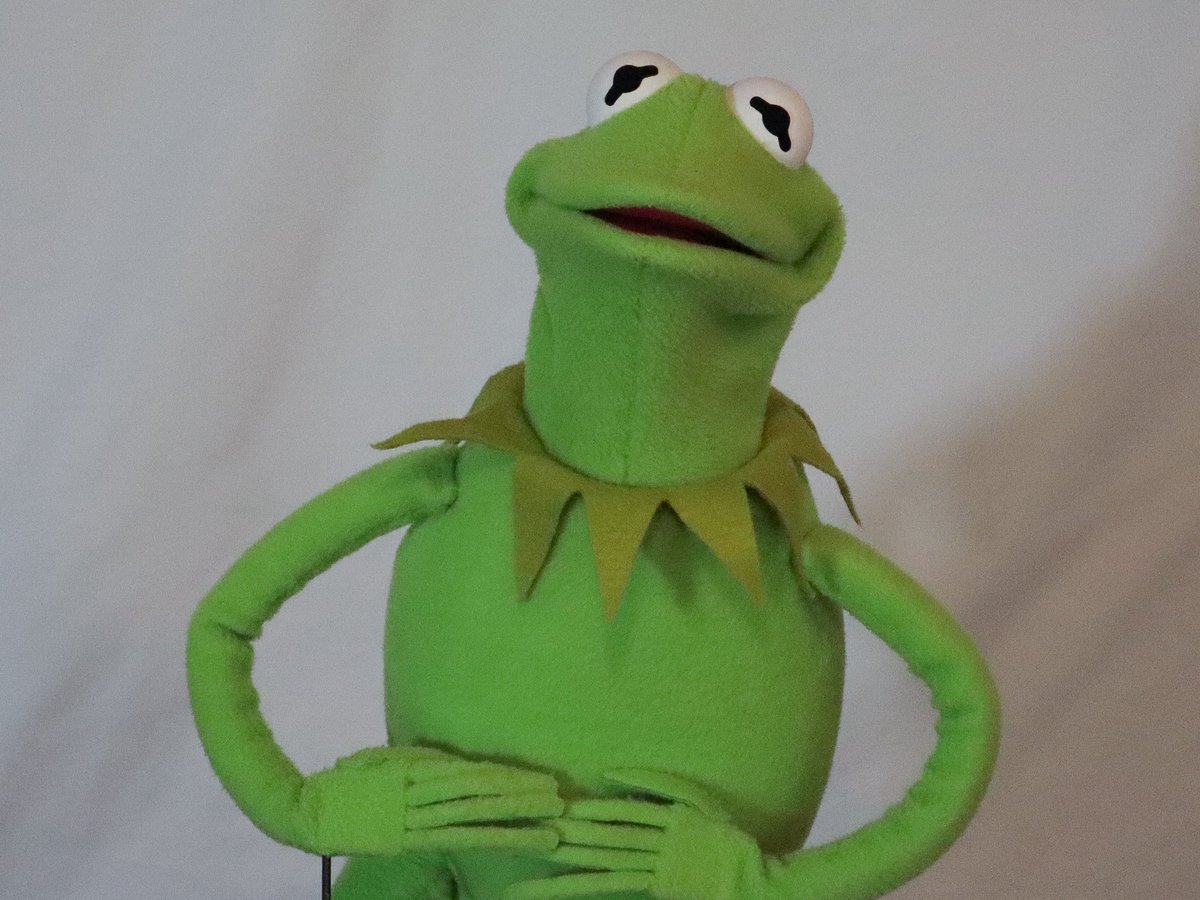 spacecactoid's tweet photo. My Kermit replica puppet (nice photo edition) https://t.co/r9X4nkZyum