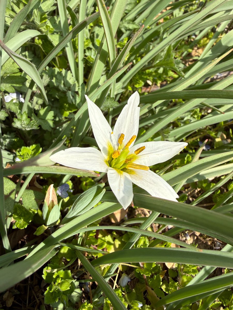 이소영 tweet media