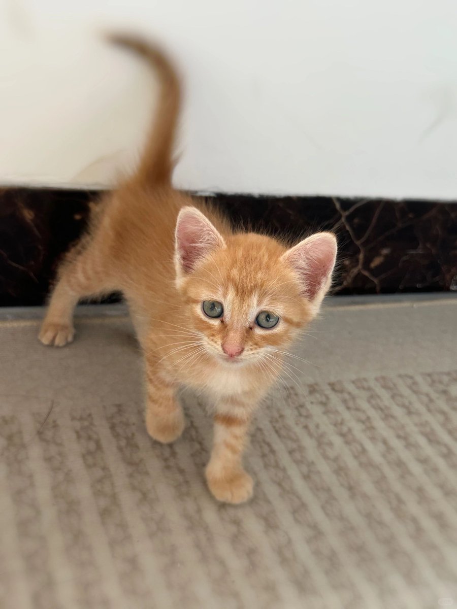 Mark Cain tweet media