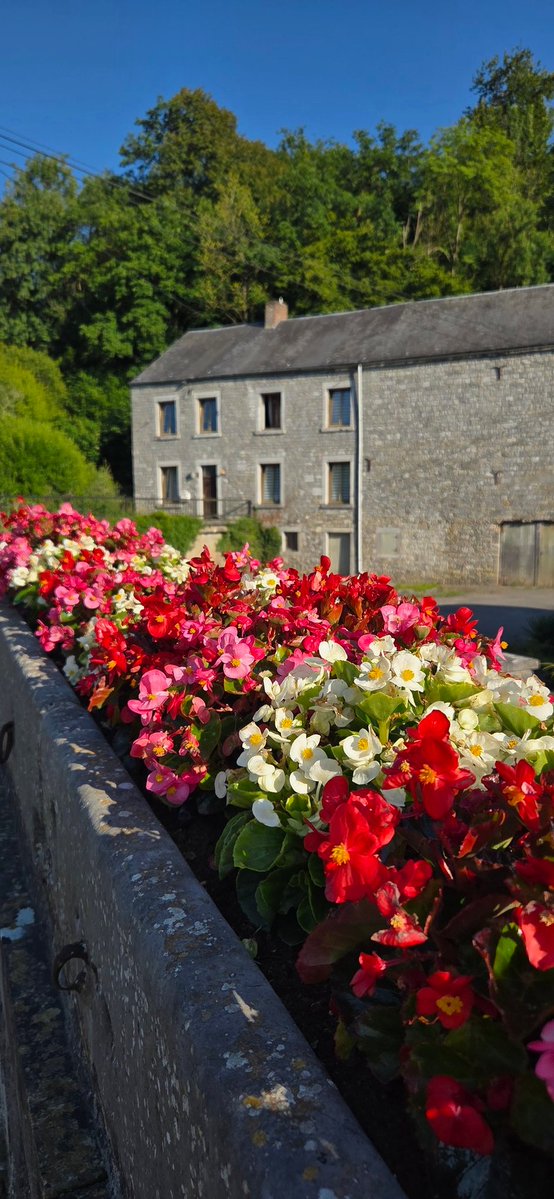 Simonetta tweet media