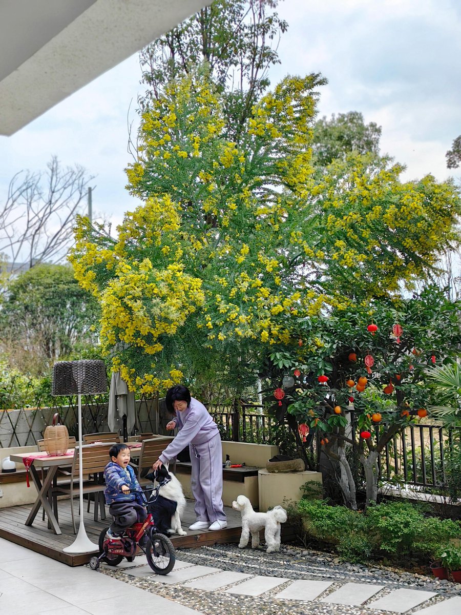 Susan Mayfield tweet media