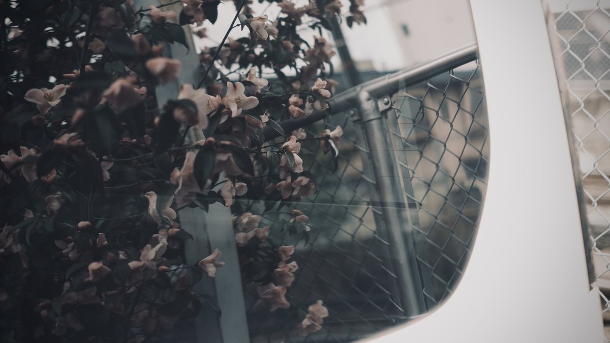 𝙢𝙞𝙞 tweet media