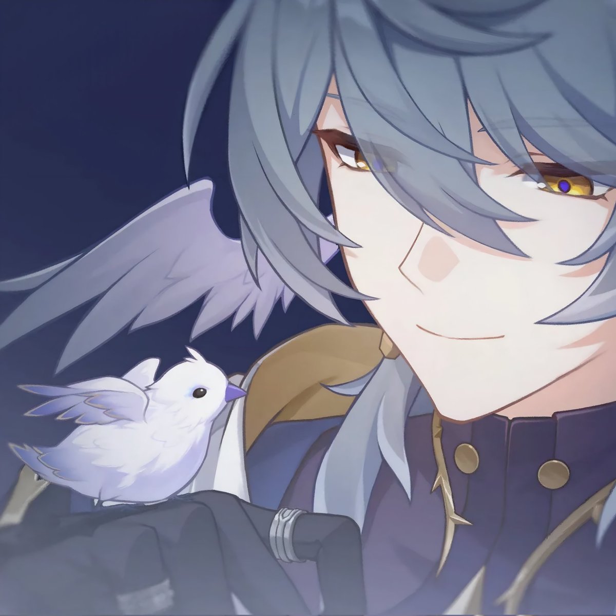 chiyo 🪽 tweet media