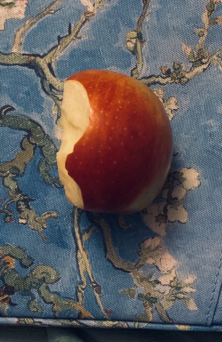 bea 🐶 cardio HELL! tweet media