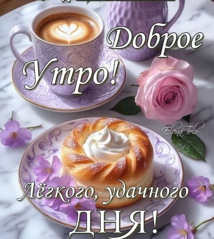 Elena^tarolog. tweet media