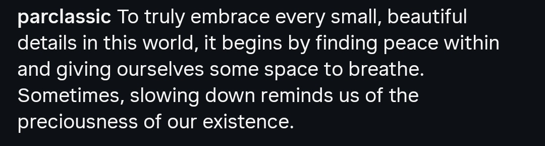 lu.✨️🌹 tweet media