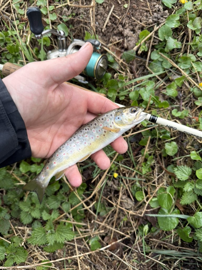 LsMartel🇫🇷♰🏴 tweet media