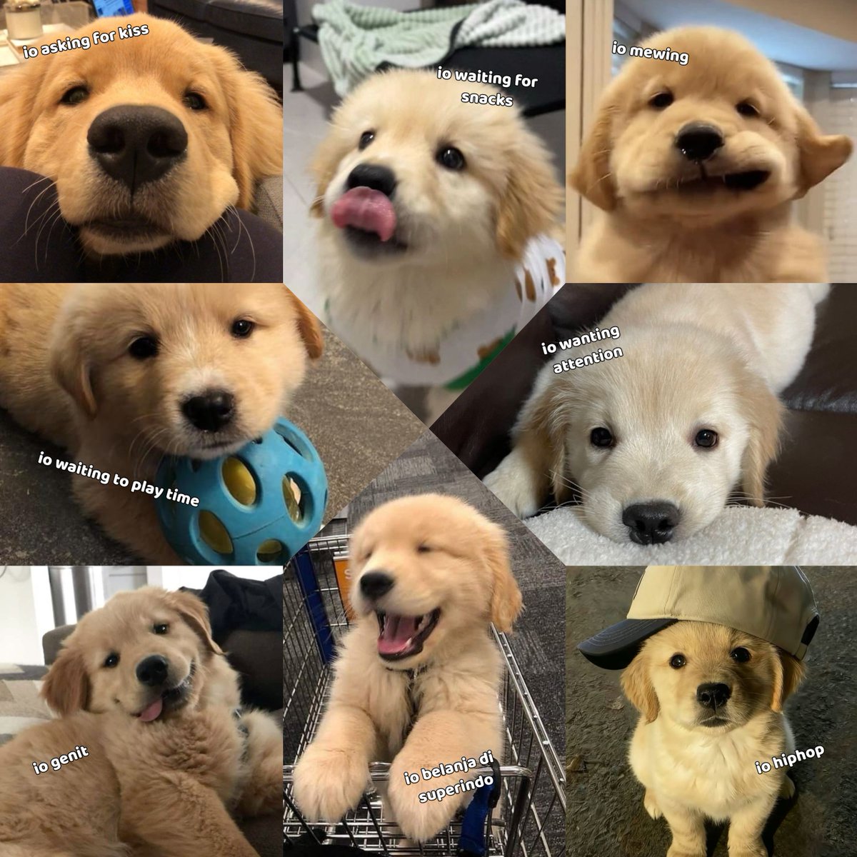 Mandala. tweet media