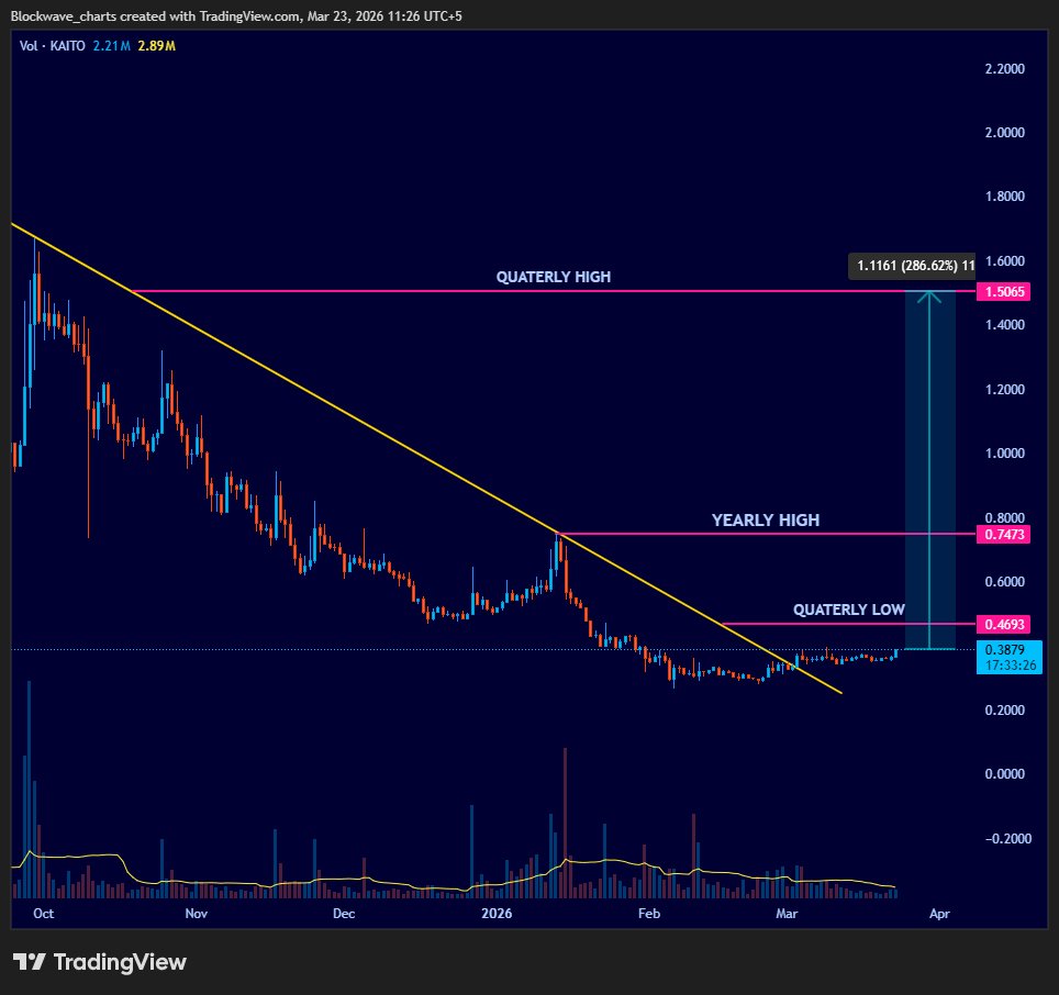 Block Wave tweet media
