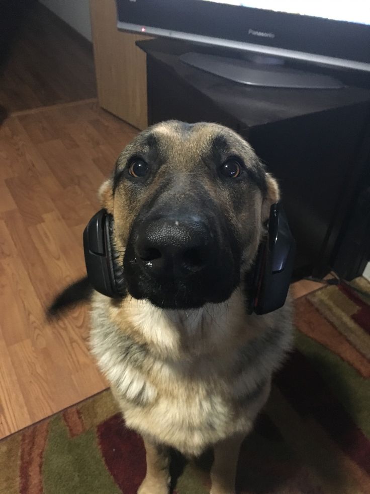 Vortex 🌪️ tweet media