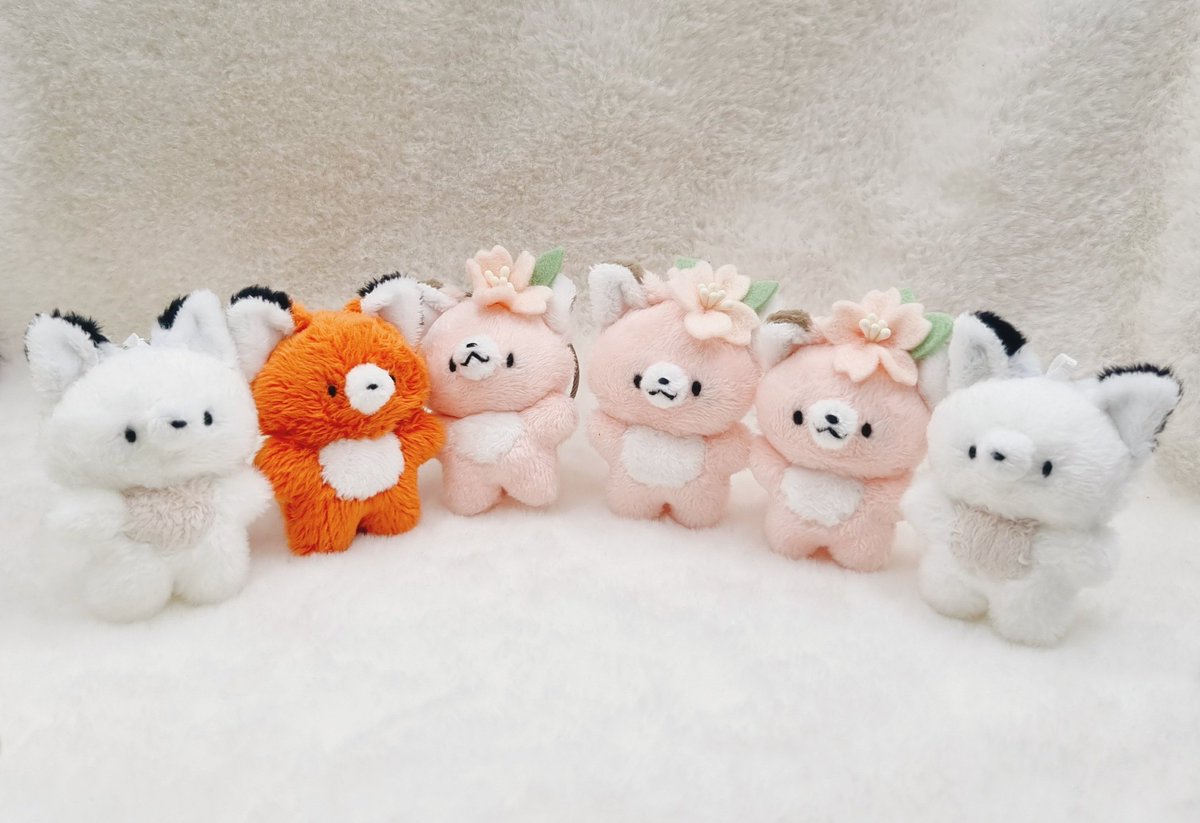 꼬누비 tweet media