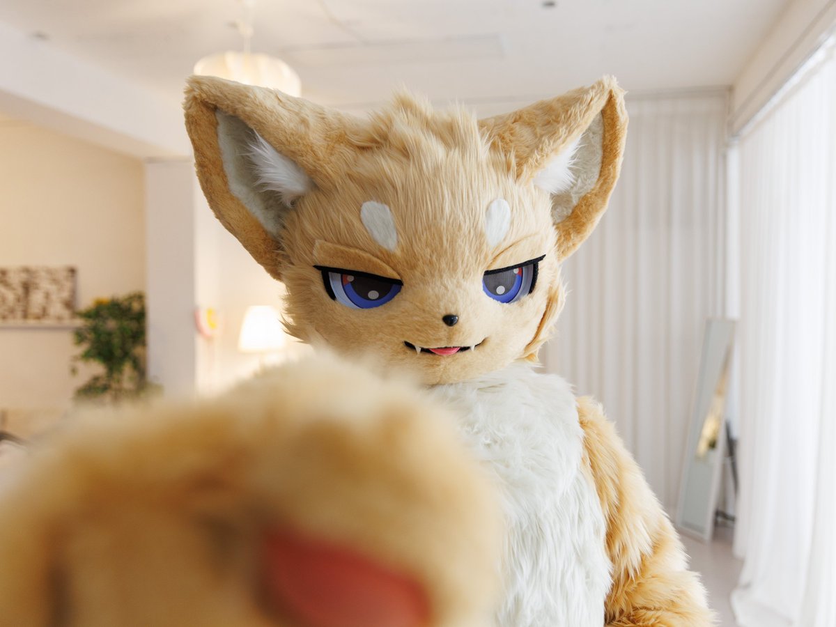 제토🔜퍼클 tweet media