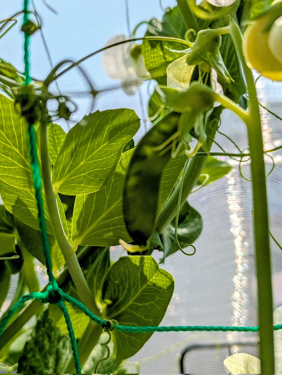 🌻735ROOM🌻 tweet media