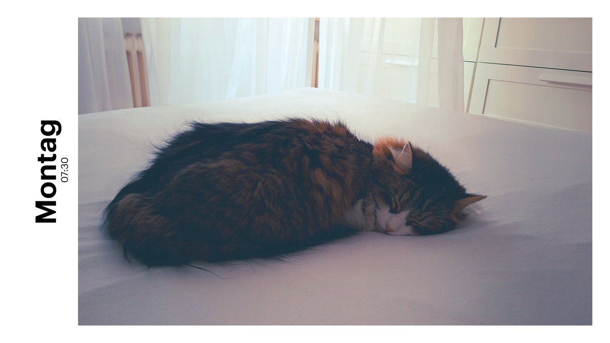 Die Luschi tweet media