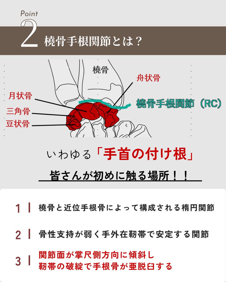 obuchi_shoulder's tweet photo. 【手首の可動域制限】
橈骨手根関節と手根中央関節についてまとめました！

https://t.co/FFfDWMx3tB

#理学療法士 #作業療法士 #リハビリ #手関節 https://t.co/3acZyBSujt
