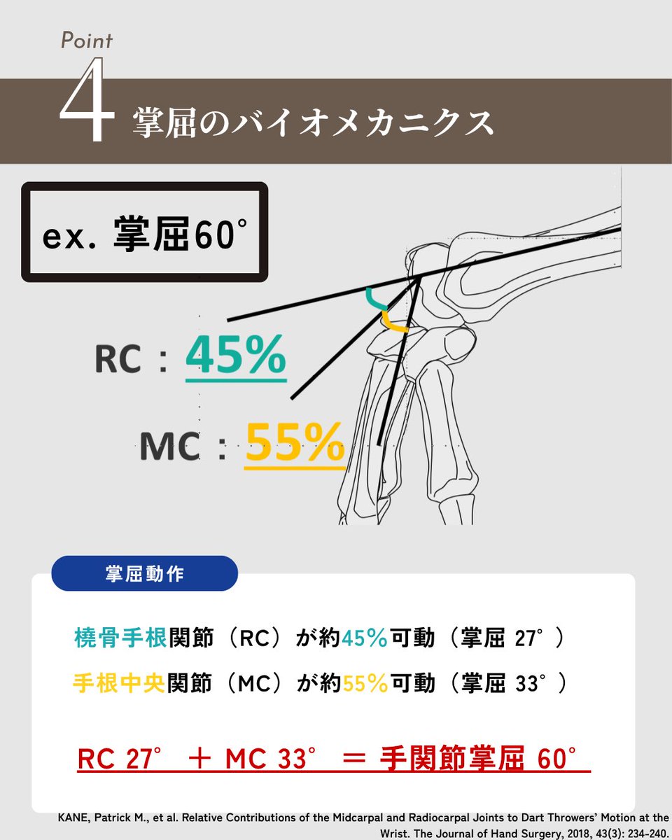 obuchi_shoulder's tweet photo. 【手首の可動域制限】
橈骨手根関節と手根中央関節についてまとめました！

https://t.co/FFfDWMx3tB

#理学療法士 #作業療法士 #リハビリ #手関節 https://t.co/3acZyBSujt