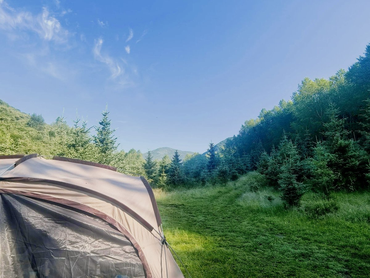 john bailey tweet media