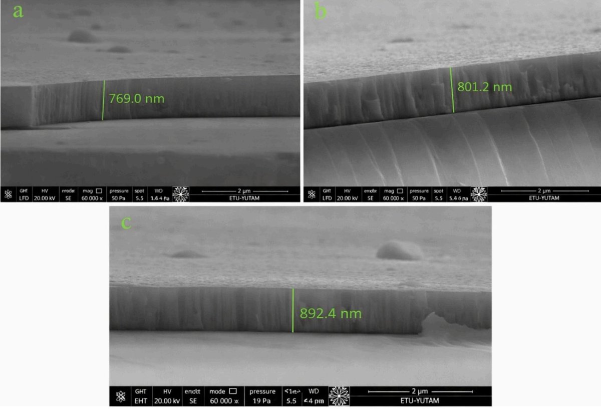 Prof. Dr. Hasan Türkez tweet media