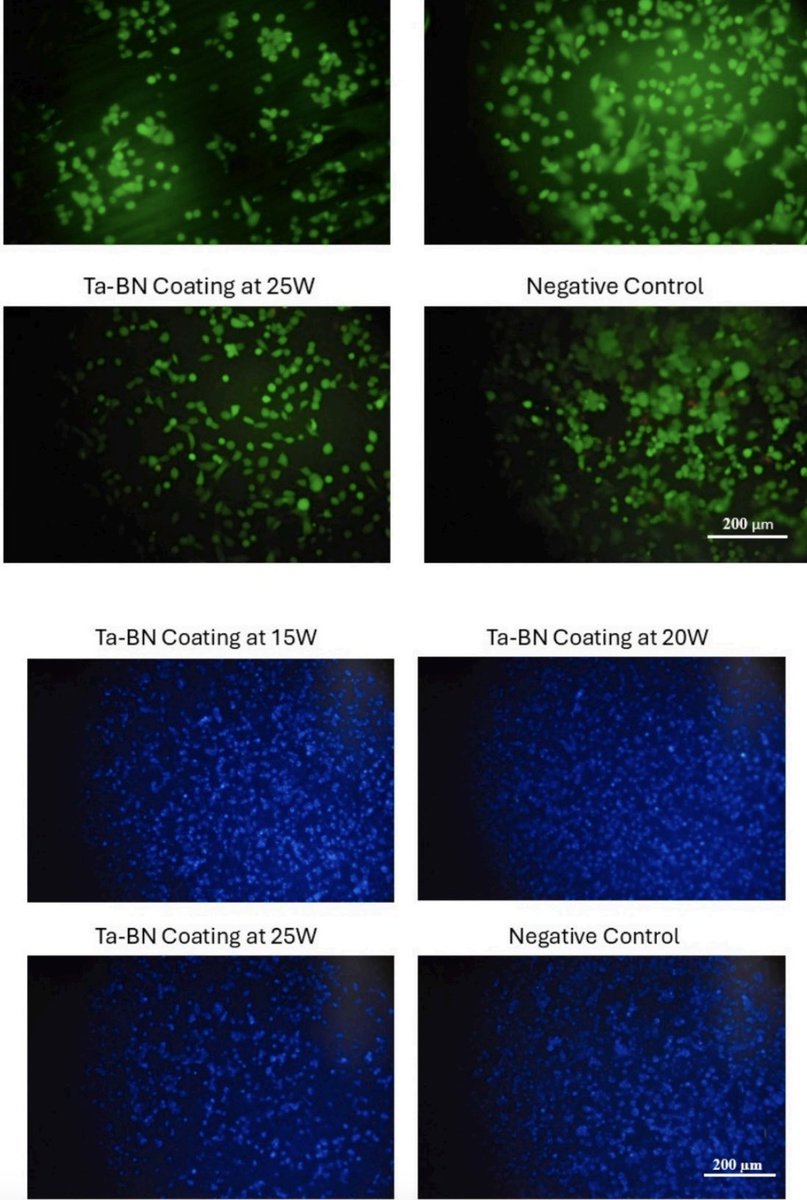 Prof. Dr. Hasan Türkez tweet media