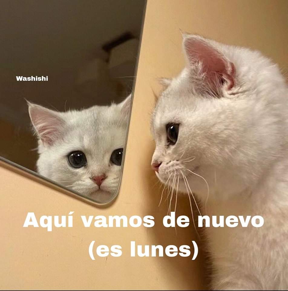 En Júpiter tweet media