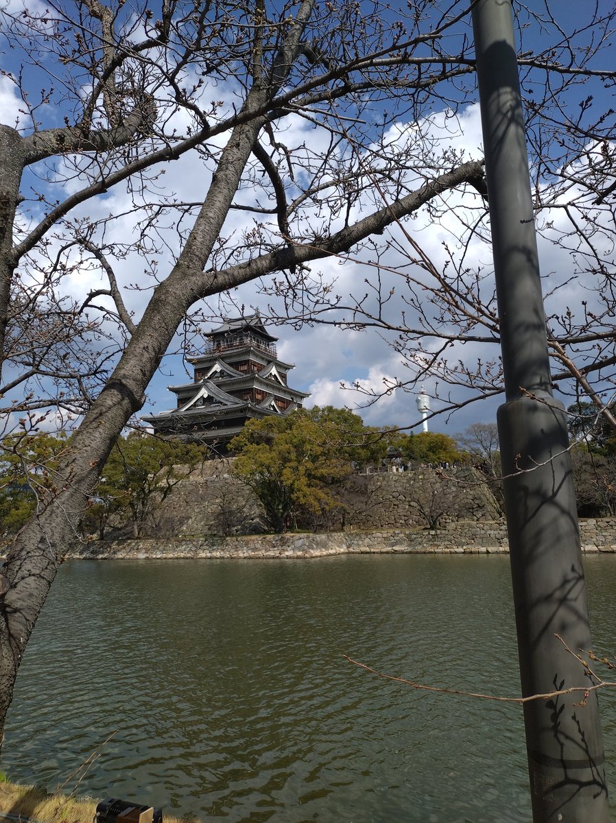 遠野志貴 低浮上 シャドウバンあるアカウント扱い tweet media