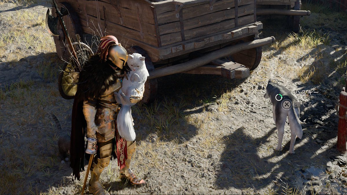 九狼丸/9RM tweet media