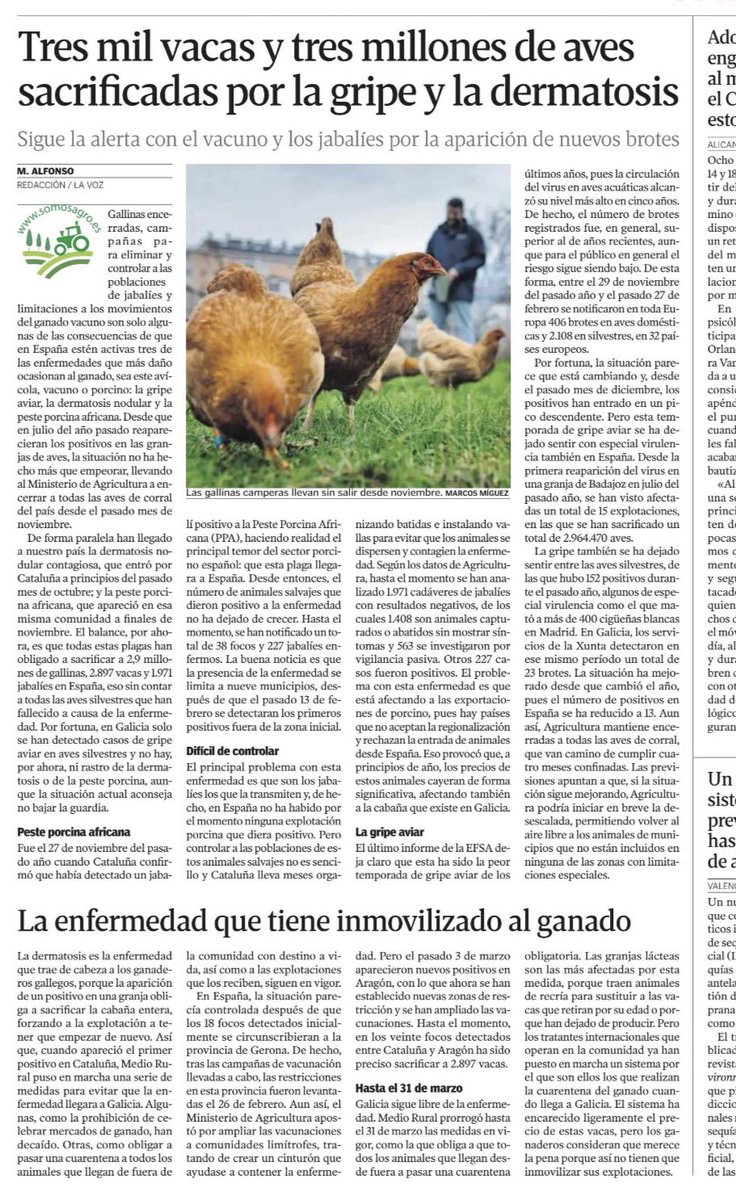 Óscar Sayagués tweet media