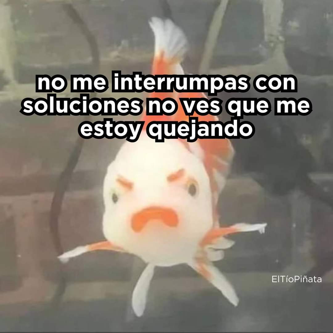 En Júpiter (@en_jupiter_) on Twitter photo 