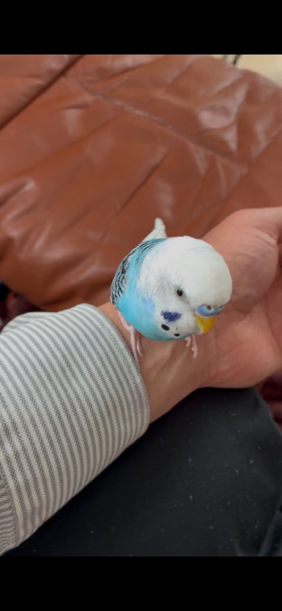 認定NPO法人TSUBASA -新施設クラファン達成しました！- tweet media