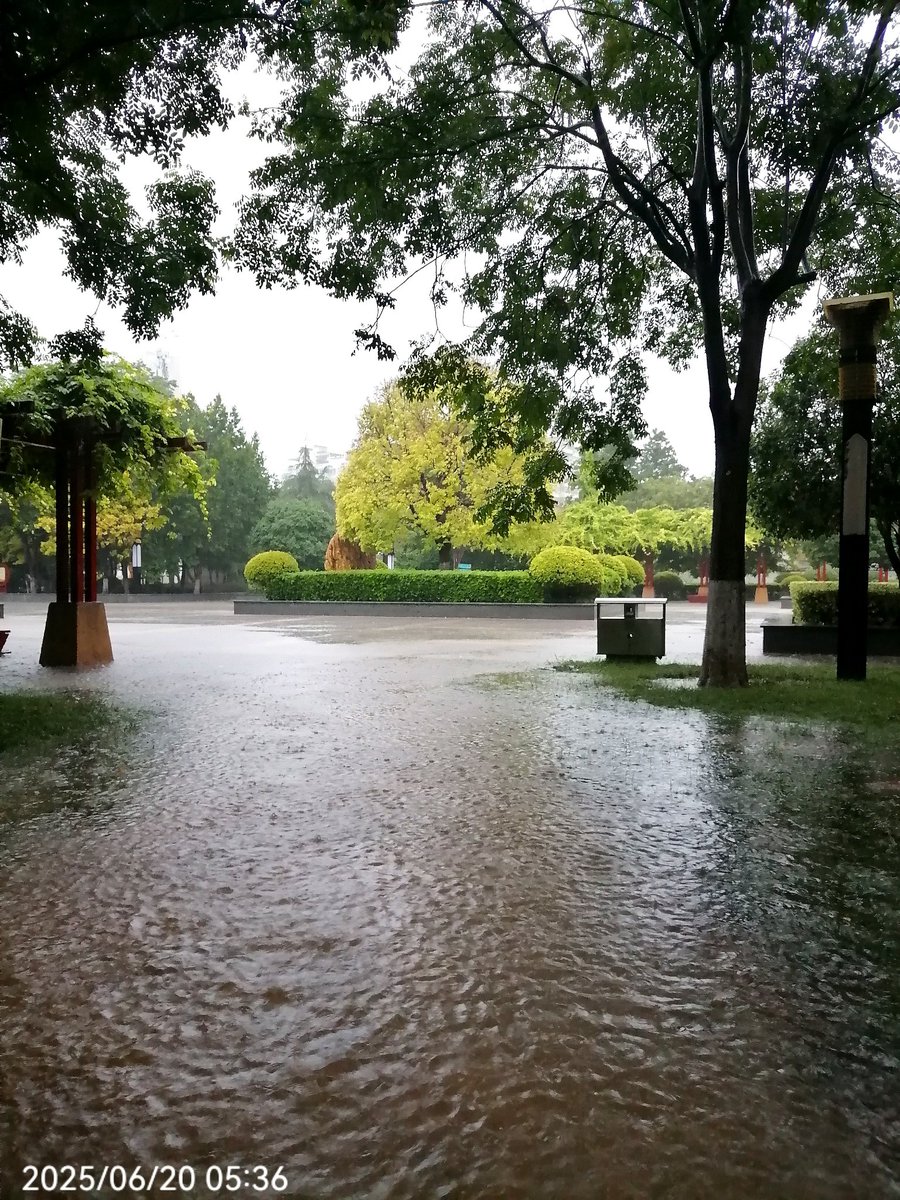 Lullaby Sykes tweet media