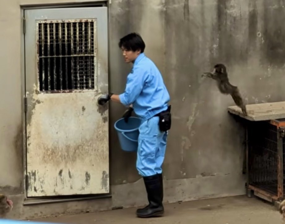 ミハミハ tweet media