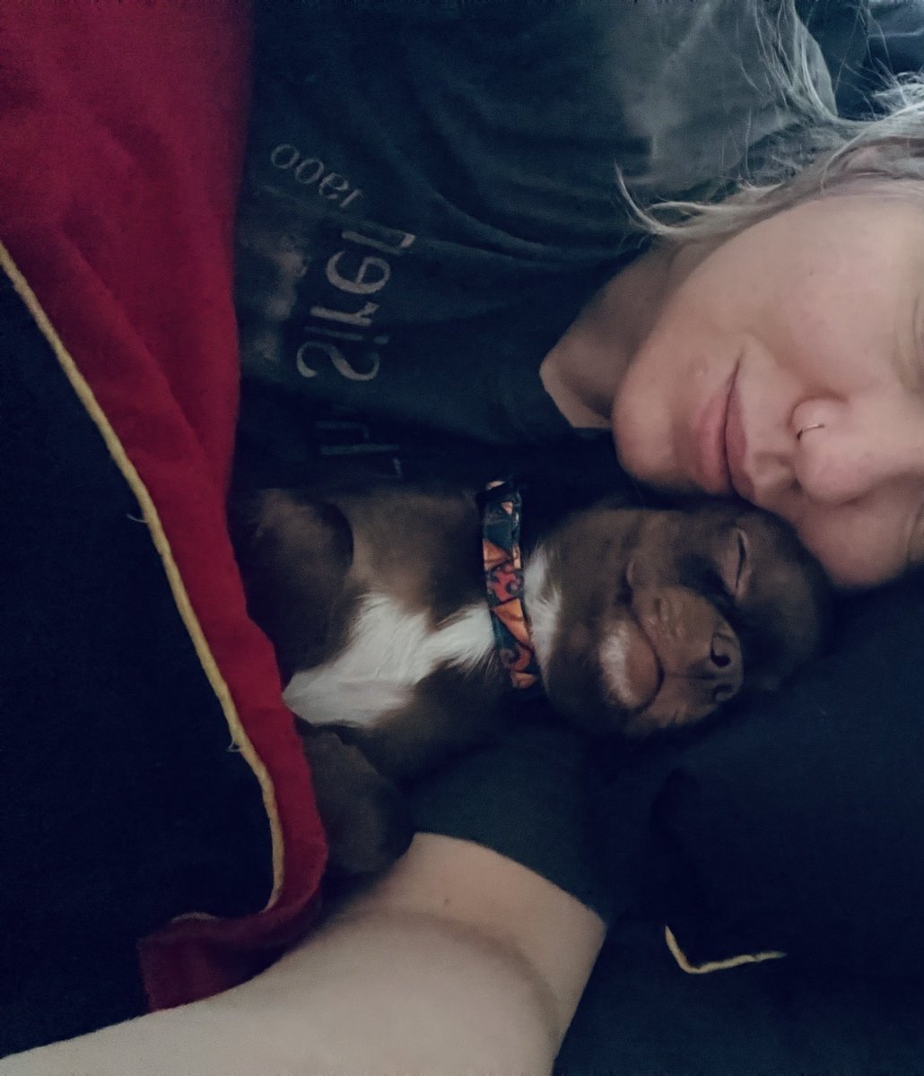 детка tweet media