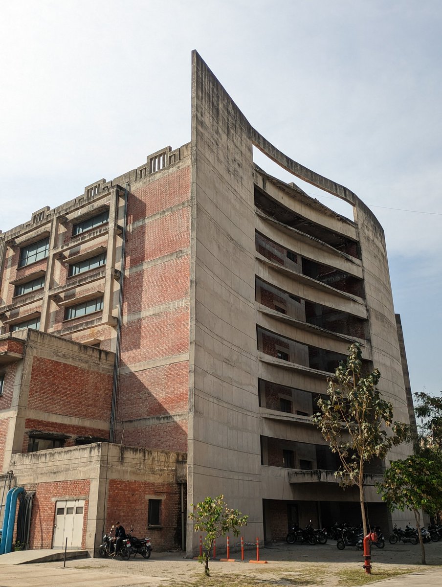 Aavicado 🥑 tweet media