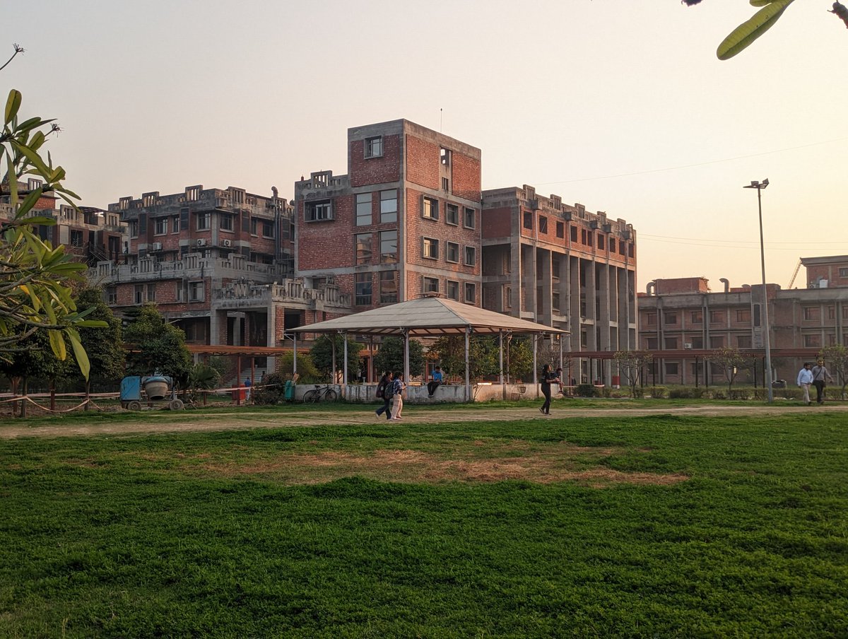 Aavicado 🥑 tweet media