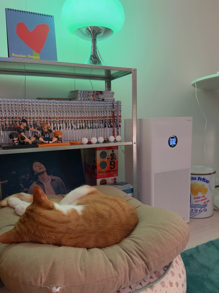 귀여운게 직업인 상팔자 고양이