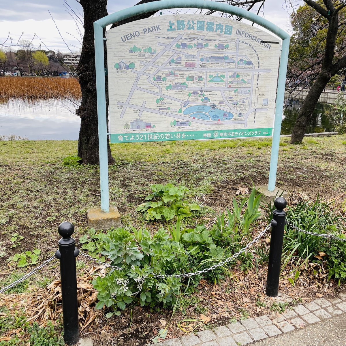 ヒロモリ tweet media