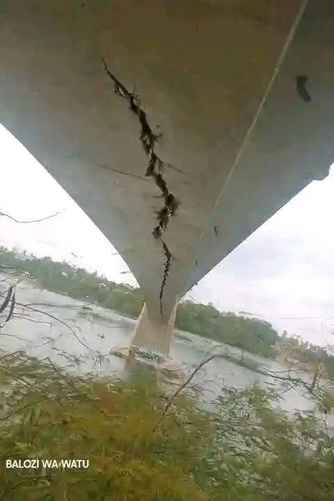 M O I B E N S H I R E tweet media